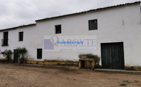 OLIVAR REF.02483