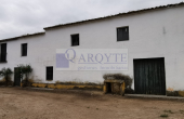 02483, OLIVAR REF.02483